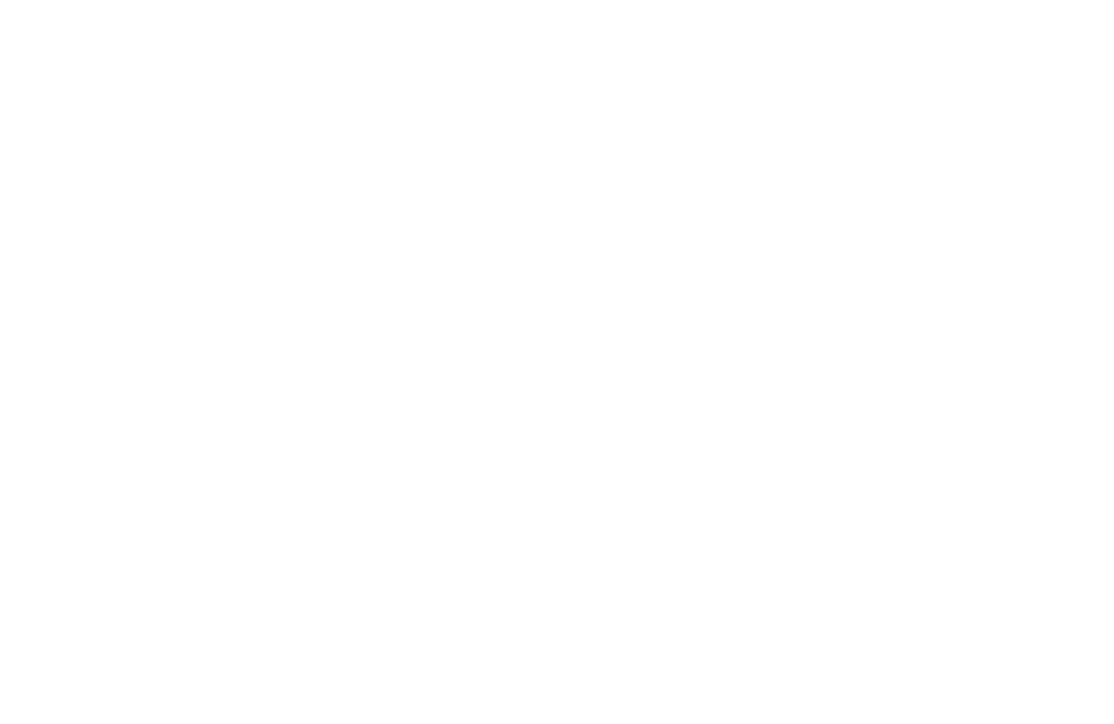 Leap Motor